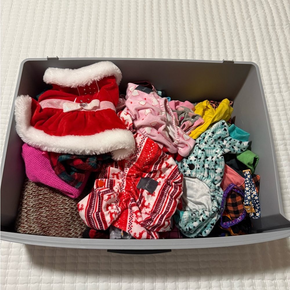 Small Dog Clothes Lot